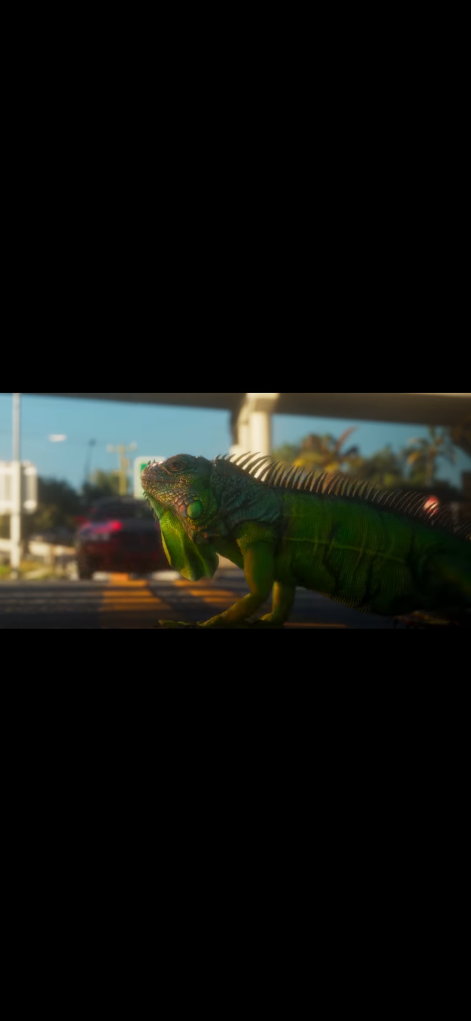 The original iguana lowering its head and taking a step across the road.